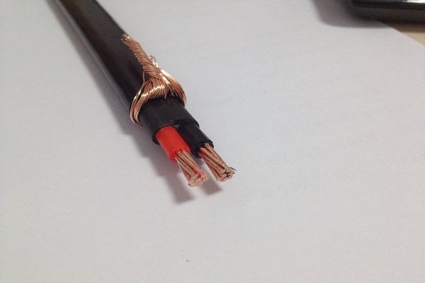 Two cores Concentric Cable.jpg