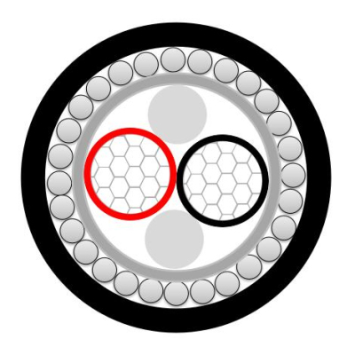 IEC60502-1 0.6/1kv Two Cores XLPE Underground Electrical Cable