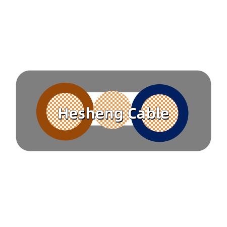 6242Y  Electrical Wire with bare earth conductor According to BS6004.jpg