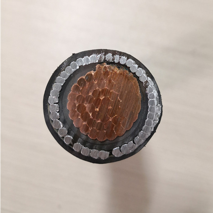 Single Core Armoured Cable.jpg