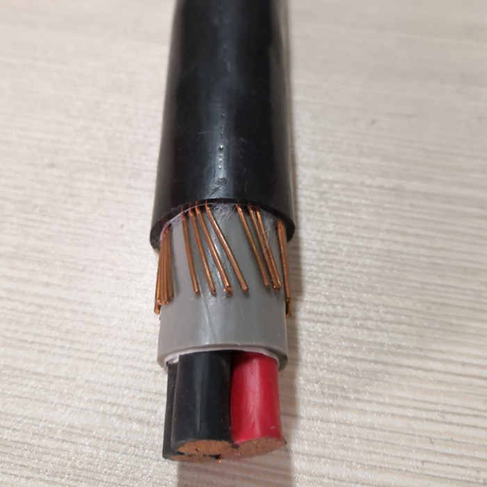 2XCY Power Cable.jpg