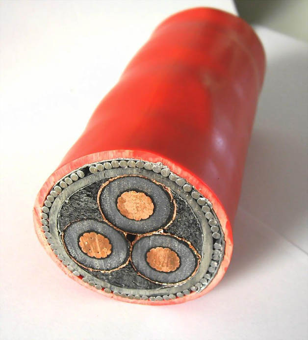 POWER CABLE.jpg