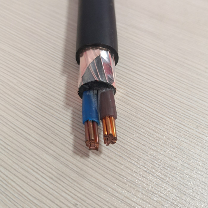 2x10+2.5sqmm Shielded Power Cable.jpg
