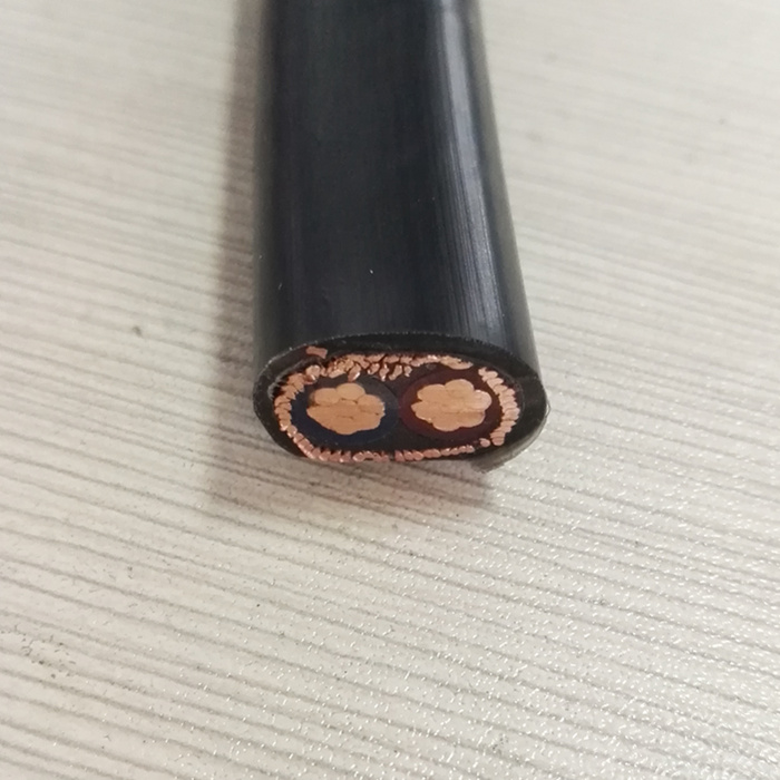 3x6 AWG Copper Conductor XLPE Insulation and Sheath Concentric Cable.jpg