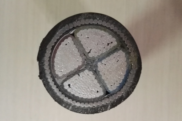 4 cores Armored Aluminum Cable-Hesheng Cable.jpg