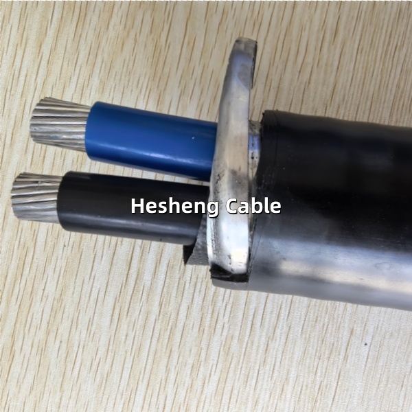 Lead IEC60502-1 XLPE insulated Sheathed Cable_副本.jpg
