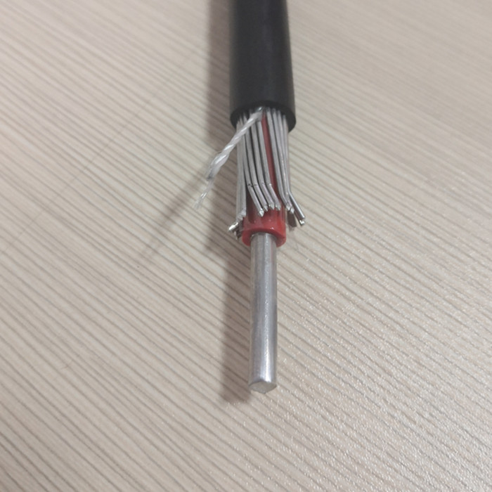 1x10mm2 Aluminum Concentric Cable.jpg