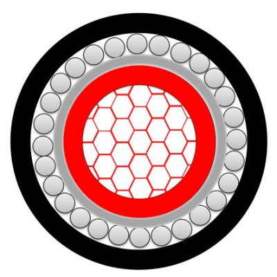 IEC60502-1 Single Core XLPE Armored Underground Cable-Hesheng Cable.jpg